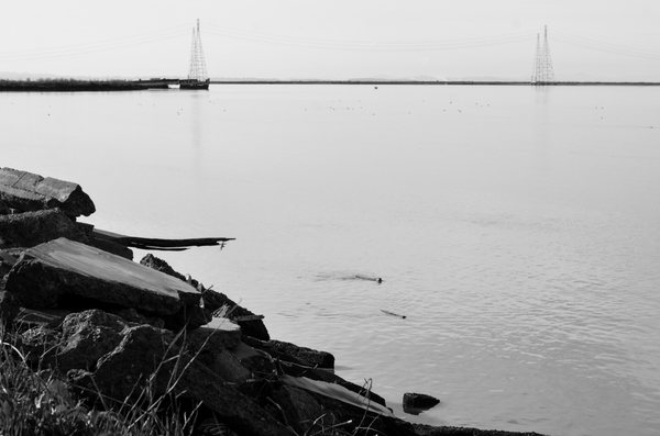 American Canyon Community Parks Foundation Updated October 2024