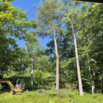 JCC Tree - Tree Services Near Me JCC Tree - Tree Services Near Me