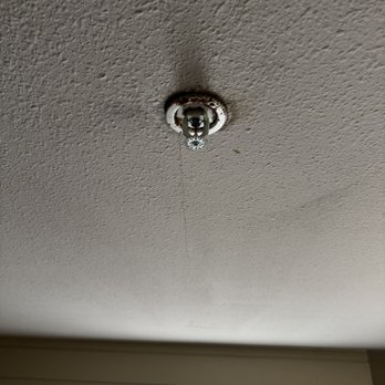 Hampton Inn & Suites Cordele - mold on celing - Hotels Near Me - Cordele, Georgia