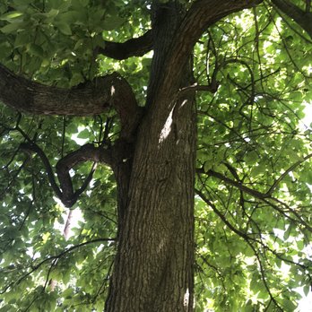 Irvington Circle Park - Parks Near Me - Indianapolis, Indiana