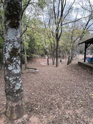 Maple Hill Park by null