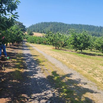 Lopez Farm - Follow the signs off the main road or put the address on your Nav. - Pick Your Own Farms Near Me - Mosier, Oregon