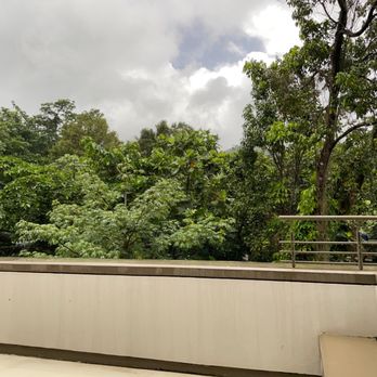 El Yunque Rainforest - Hiking Near Me - Luquillo, Puerto Rico