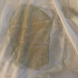 Holiday Inn Orlando SW - Celebration Area - Nasty sheets.