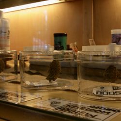 Kure Dispensary - Downtown