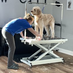Paw City Pet Care