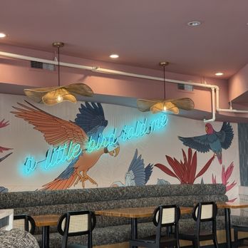 Parakeet Cafe - Little Italy - Cool vibes - Breakfast & Brunch Near Me - San Diego, California Parakeet Cafe - Little Italy - Cool vibes - Breakfast & Brunch Near Me - San Diego, California