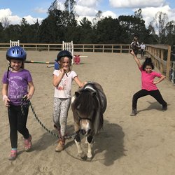 Pegasus Hill Farm - After-school club kids play with Elvis