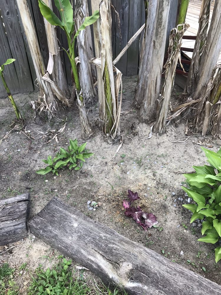 BROADWELL’S NURSERY 22 Photos & 16 Reviews Nurseries & Gardening