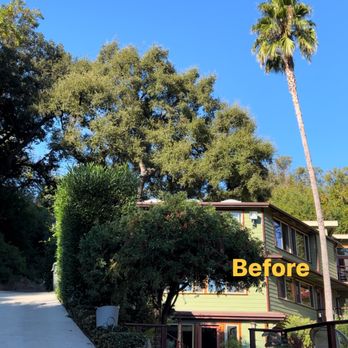 New Generation TreeScape - Tree Services Near Me New Generation TreeScape - Tree Services Near Me