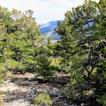 Great Basin National Park - Parks Near Me - Baker, Nevada