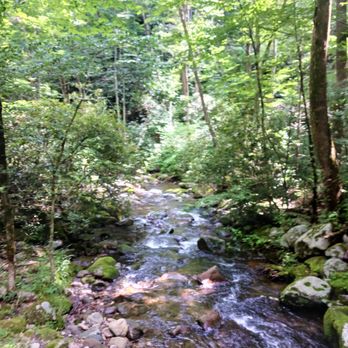 Roaring Fork Motor Nature Trail - Hiking Near Me