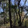 Photo of Four Winds Ranch