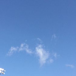 Reagan Park - Place your thumb in the middle of the left side of the cloud Bat cloud