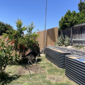 Carney Fence - Fences & Gates Near Me