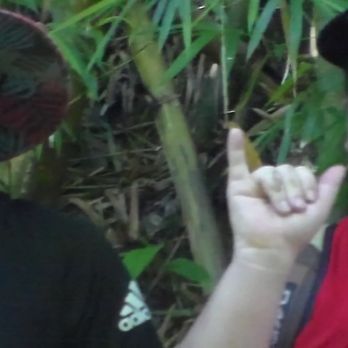 Makiki Valley Trail - Me and My sister Husband Smiling  at the camera - Hiking Near Me - Honolulu, Hawaii