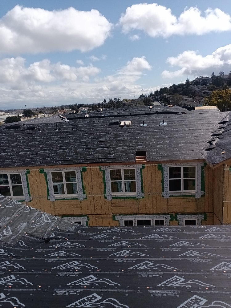 Slide of Emilio’s Painted