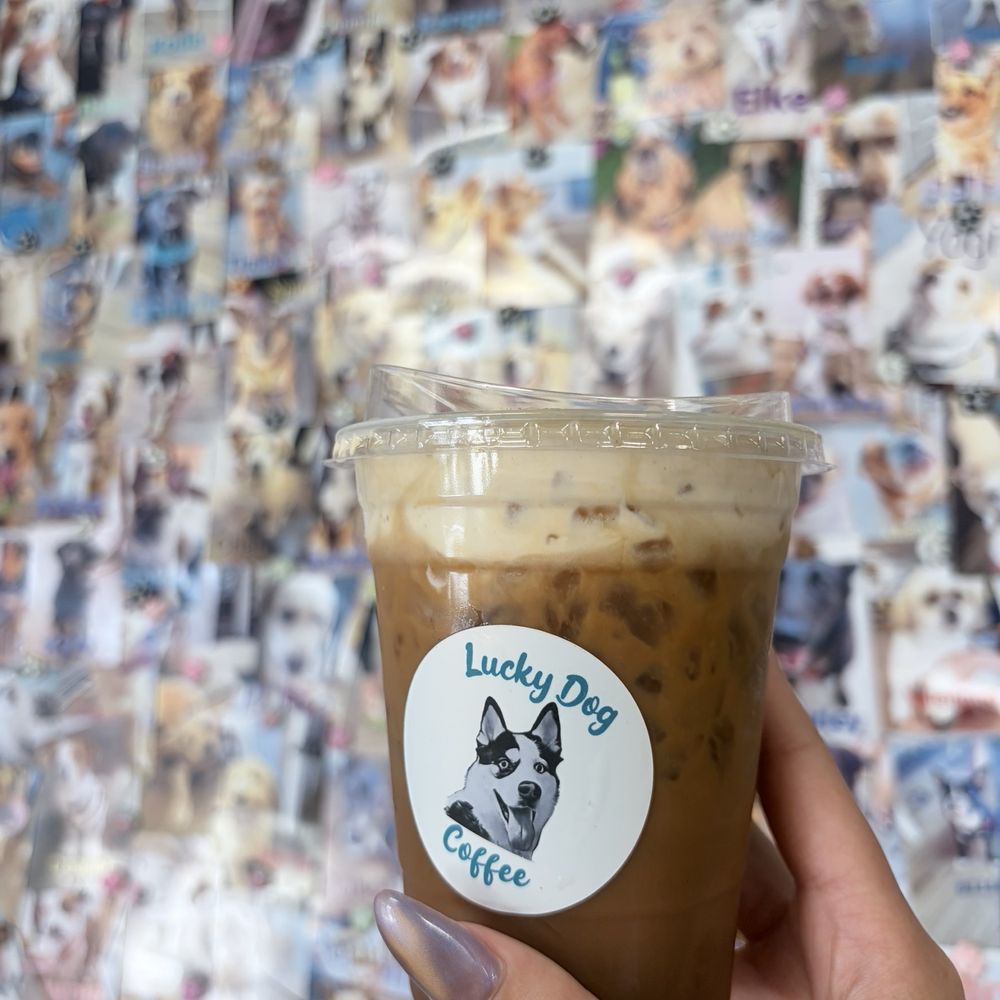 Lucky Dog Coffee - Pumpkin Pie Dirty Chai (w/whip cream or pumpkin cf) - Coffee & Tea Near Me - Simi Valley, California Lucky Dog Coffee - Pumpkin Pie Dirty Chai (w/whip cream or pumpkin cf) - Coffee & Tea Near Me - Simi Valley, California