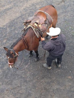 Secret Passage Ranch by null