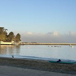 Aquatic Park Cove - The Bridge erased in heavy fog