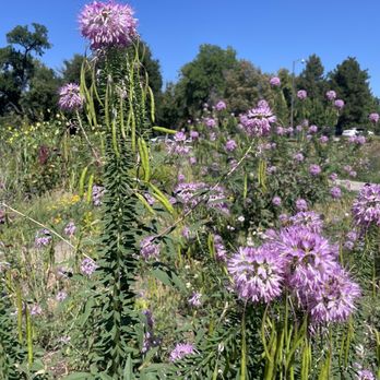 Washington Park - Parks Near Me - Denver, Colorado