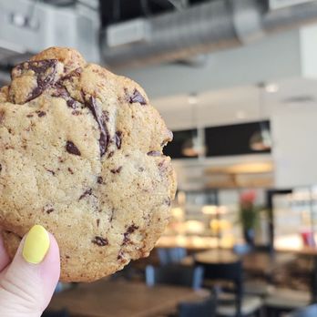 Everyday Market - Chocolate Chip Cookie - Coffee & Tea Near Me - Charlotte, North Carolina Everyday Market - Chocolate Chip Cookie - Coffee & Tea Near Me - Charlotte, North Carolina