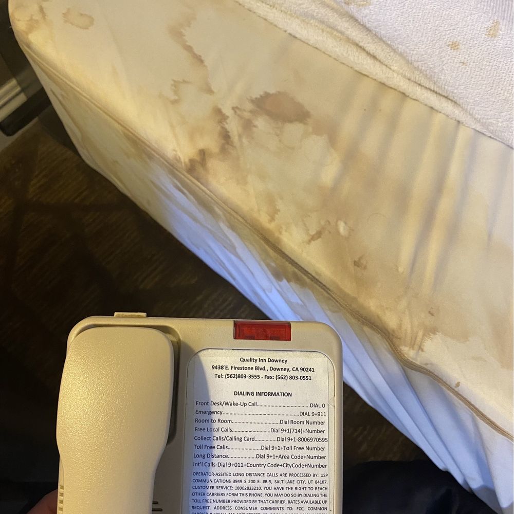 Quality Inn Downey - Hotels Near Me - Downey, California Quality Inn Downey - Hotels Near Me - Downey, California