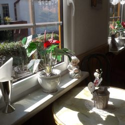 Eistüte am Brühl