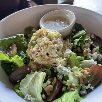 The Independent - Indie House Salad with Chicken Salad - Coffee & Tea Near Me - Tampa, Florida The Independent - Indie House Salad with Chicken Salad - Coffee & Tea Near Me - Tampa, Florida