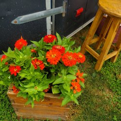 Hemlock Hill Farm - By the food truck - 7/26/2025