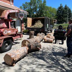 B&S Tree Service