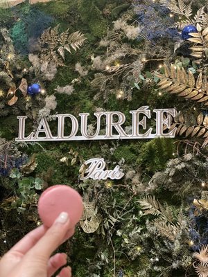 Ladurée Bonaparte by null