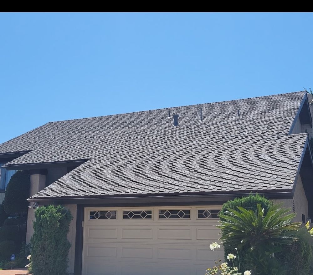 Slide of Nelson The Roofer