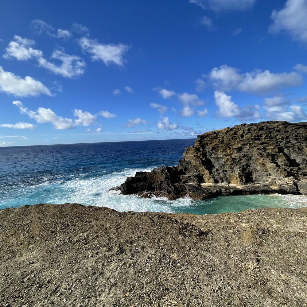 Aloha Hawaii Tours - Bus Tours Near Me - Honolulu, Hawaii Aloha Hawaii Tours - Bus Tours Near Me - Honolulu, Hawaii