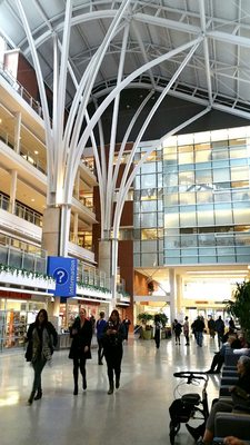 Toronto Western Hospital by null