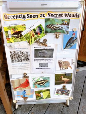Secret Woods Nature Center by null