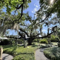 New Orleans Botanical Garden