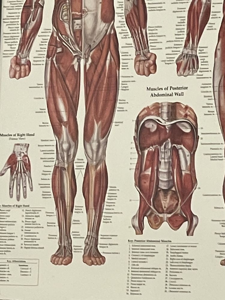 AXES PHYSICAL THERAPY Updated August 2024 18 Photos 4273 Keaton