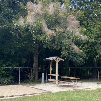 San Antonio KOA - Campgrounds Near Me - San Antonio, Texas