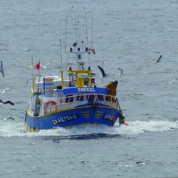 Haliotika la Cité de la pêche