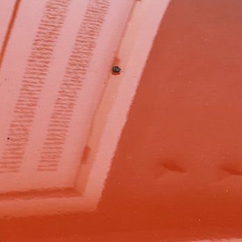 Filth-Ease Power Washing & Gutter Cleaning - Sand, stones and damage to a 2 week old car. - Pressure Washers Near Me - San Jose, California Filth-Ease Power Washing & Gutter Cleaning - Sand, stones and damage to a 2 week old car. - Pressure Washers Near Me - San Jose, California