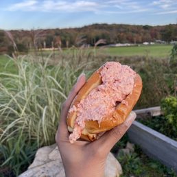 Lobster Roll