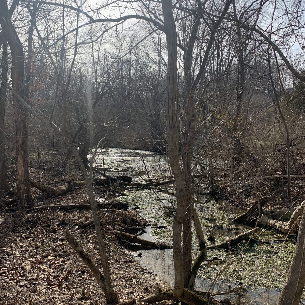 Bloomington Rail Trail - Hiking Near Me - Bloomington, Indiana Bloomington Rail Trail - Hiking Near Me - Bloomington, Indiana