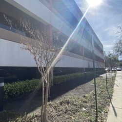 Nemours Children's Specialty Care, Orlando