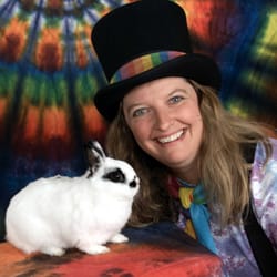 Ann Lincoln Entertainment