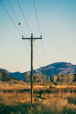 Pahranagat National Wildlife Refuge by null