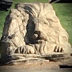 Lions Park - A namesake rock climbing structure next to one playground.