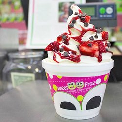 sweetFrog Premium Frozen Yogurt - Sweet Frog Premium Frozen Yogurt