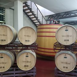 Mont Reaga - Inside the barrel room