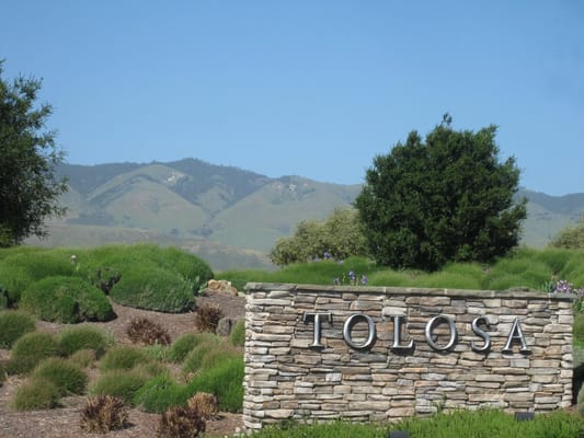 Tolosa Winery by null